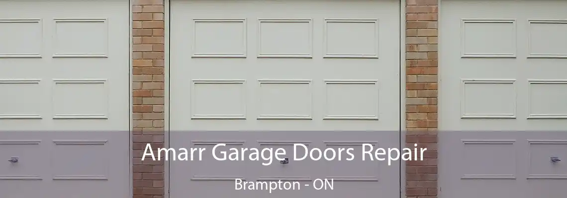 Amarr Garage Doors Repair Brampton - ON