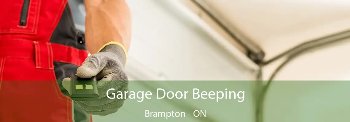 Garage Door Beeping Brampton - ON