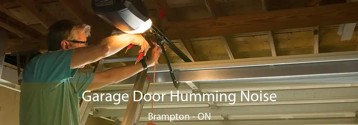 Garage Door Humming Noise Brampton - ON
