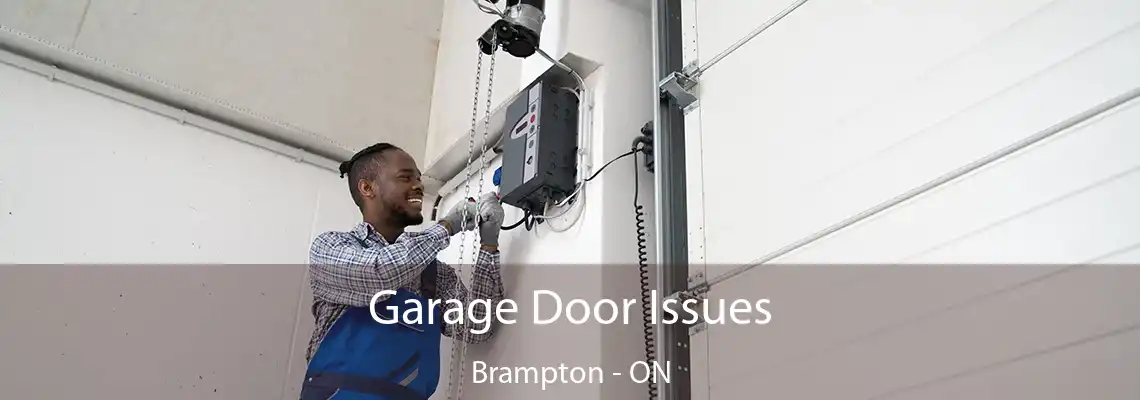 Garage Door Issues Brampton - ON