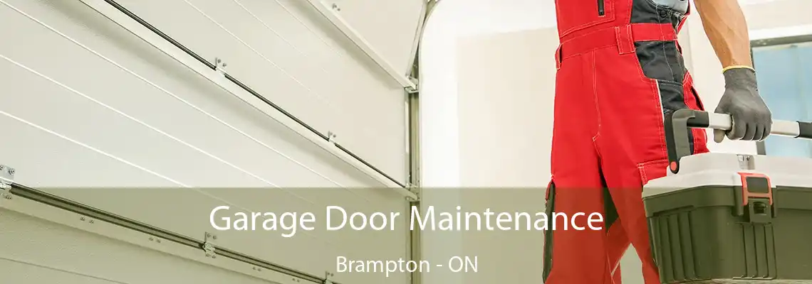Garage Door Maintenance Brampton - ON