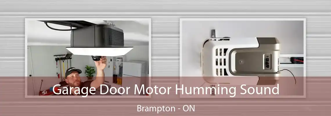Garage Door Motor Humming Sound Brampton - ON