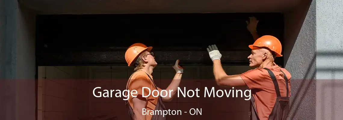 Garage Door Not Moving Brampton - ON