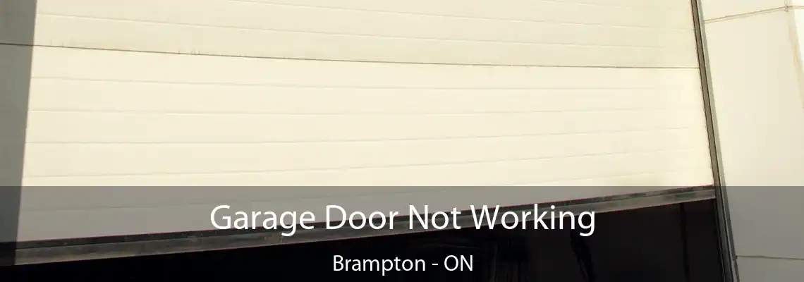 Garage Door Not Working Brampton - ON