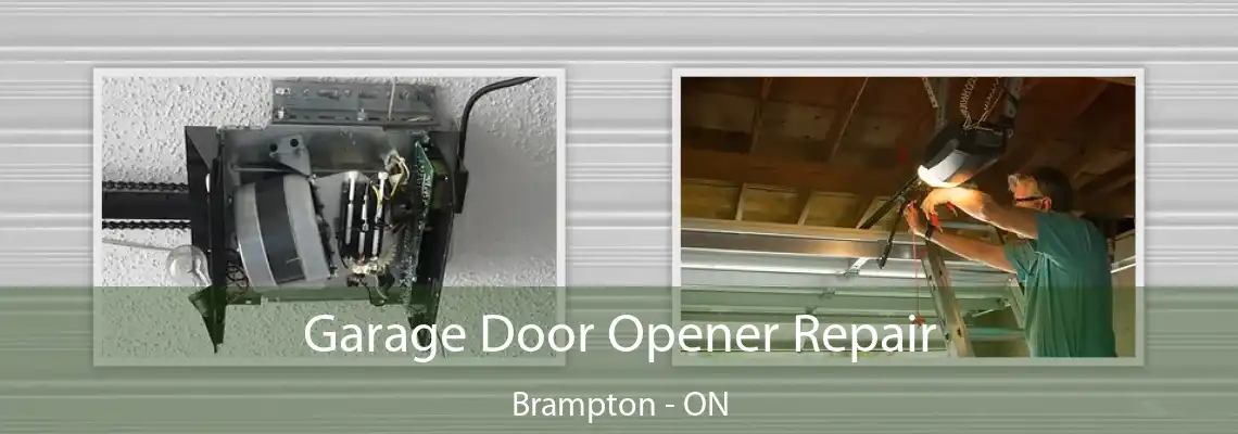 Garage Door Opener Repair Brampton - ON