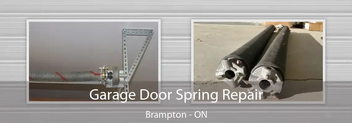 Garage Door Spring Repair Brampton - ON