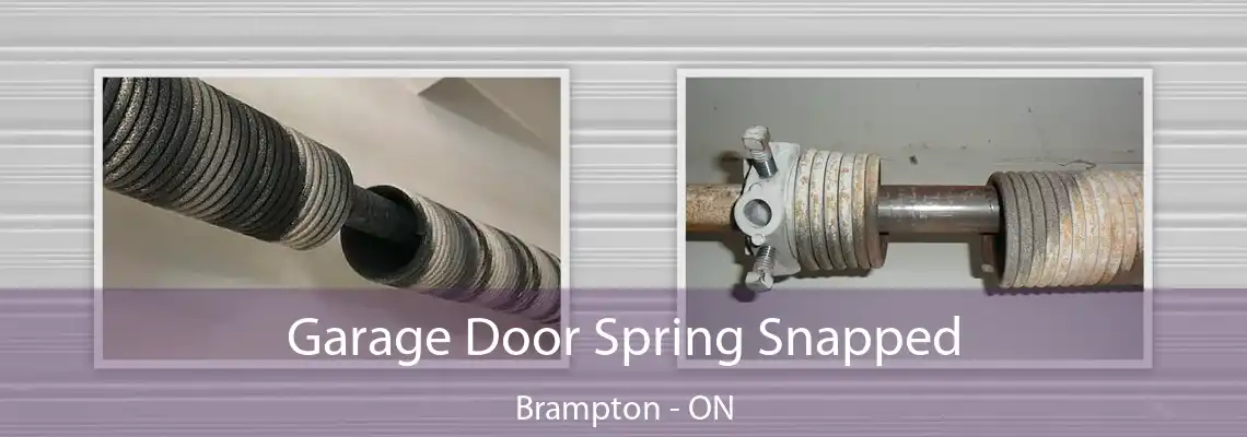 Garage Door Spring Snapped Brampton - ON