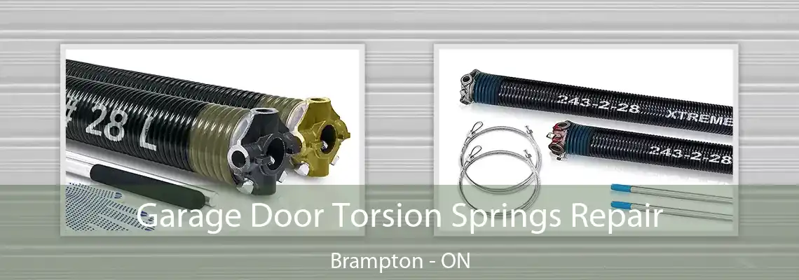 Garage Door Torsion Springs Repair Brampton - ON