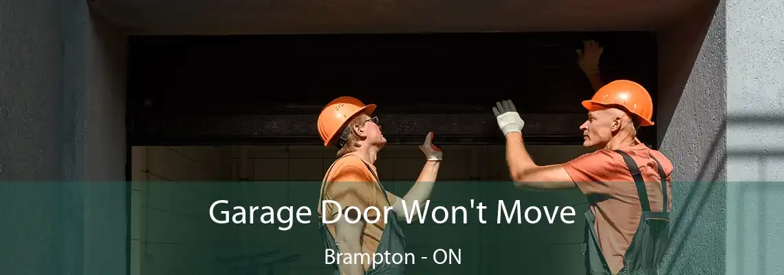 Garage Door Won't Move Brampton - ON