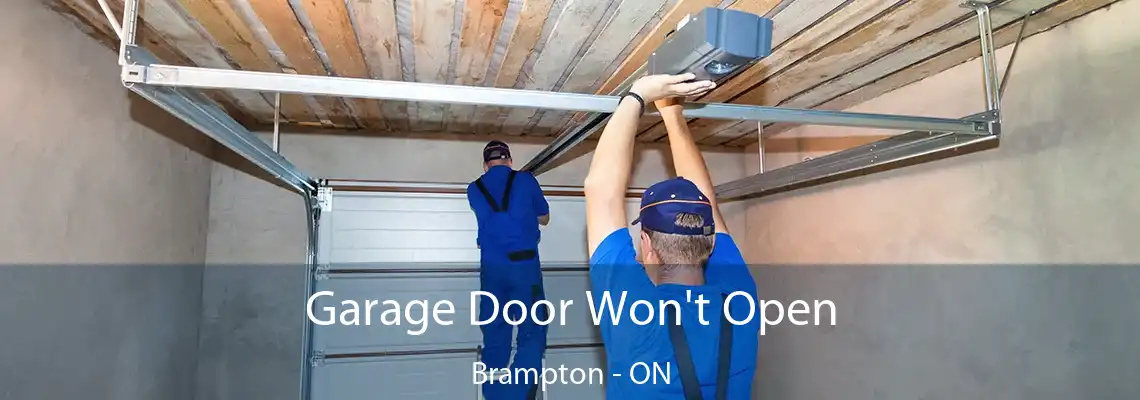 Garage Door Won't Open Brampton - ON