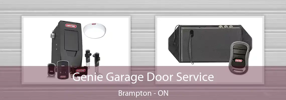 Genie Garage Door Service Brampton - ON
